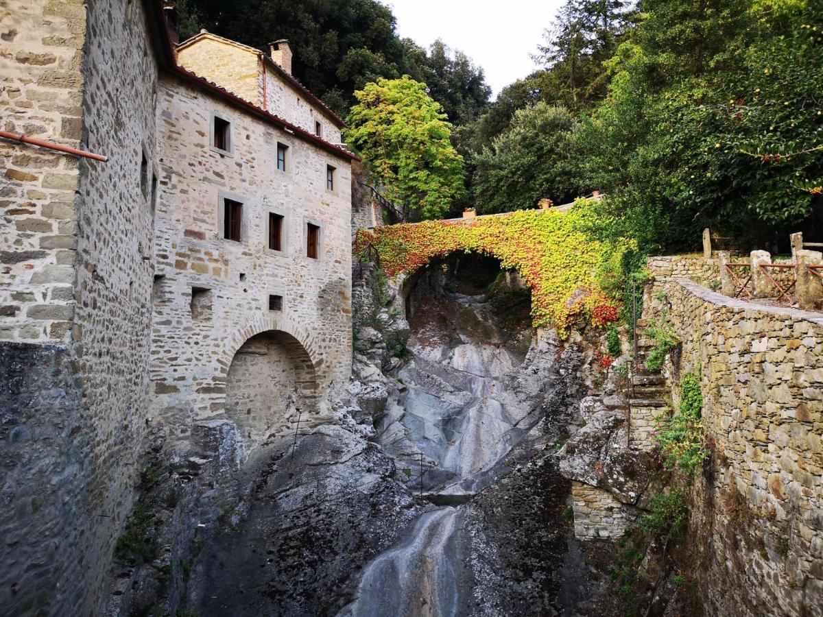 Borgo Il Melone Otel Cortona Dış mekan fotoğraf